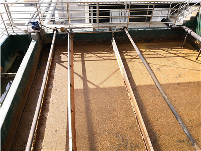 ��������ĳ������ˮ