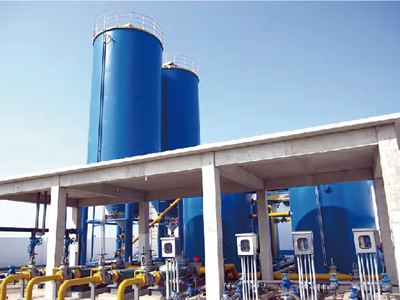 ESH��ʯ���ϲ�Ͷ��ϵͳ